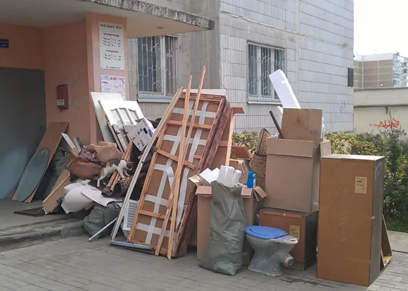 Профессиональный вывоз мусора из квартиры в Советской Гавани в октябре