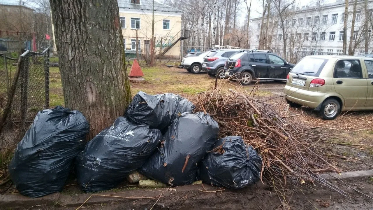 Вывоз мусора после субботника в Советской Гавани от ПроМусор – уборка и утилизация отходов от 2441 руб