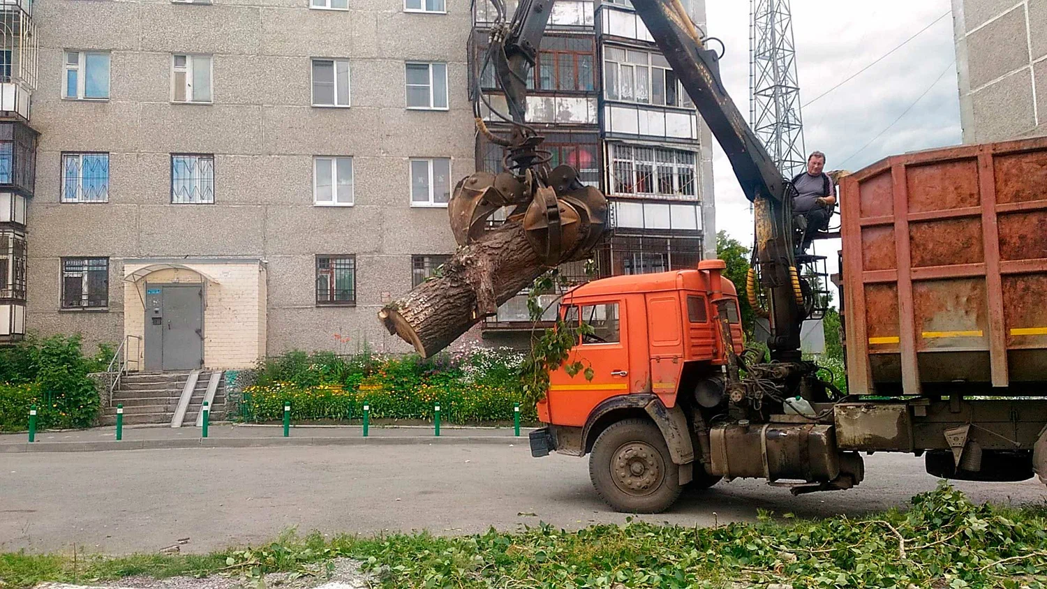 Вывоз спиленных веток и деревьев в Советской Гавани от ПроМусор: порубочные остатки, утилизация, цена от 3013 руб