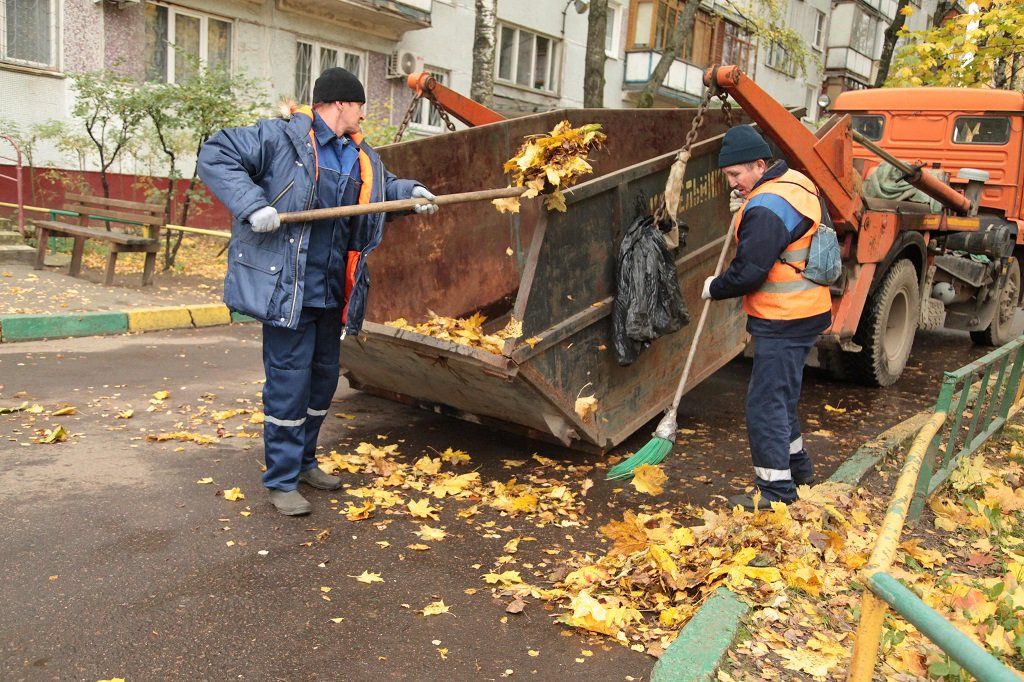 Вывоз опавшей листвы и растительного мусора в Советской Гавани от ПроМусор – цена от 4675 руб., быстрая уборка и утилизация